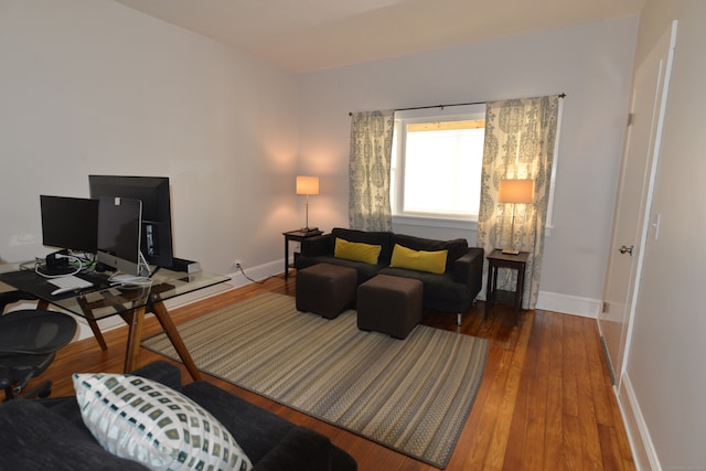 living room with wood-type flooring