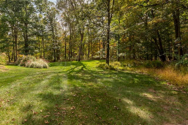 view of local wilderness