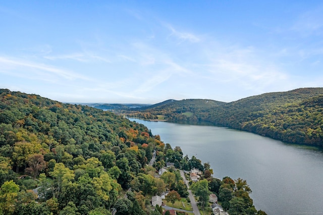 aerial view with a forest view and a water and mountain view