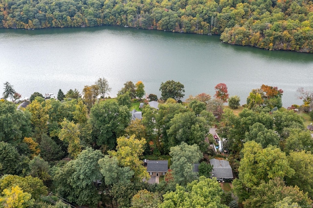 birds eye view of property featuring a water view and a forest view