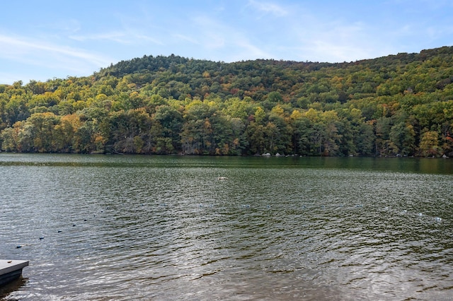 water view featuring a view of trees