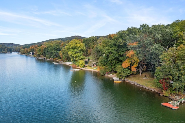 property view of water featuring a wooded view