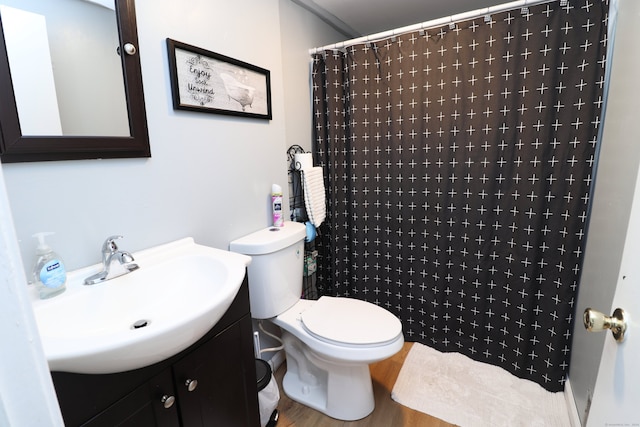 bathroom featuring wood-type flooring, vanity, toilet, and curtained shower