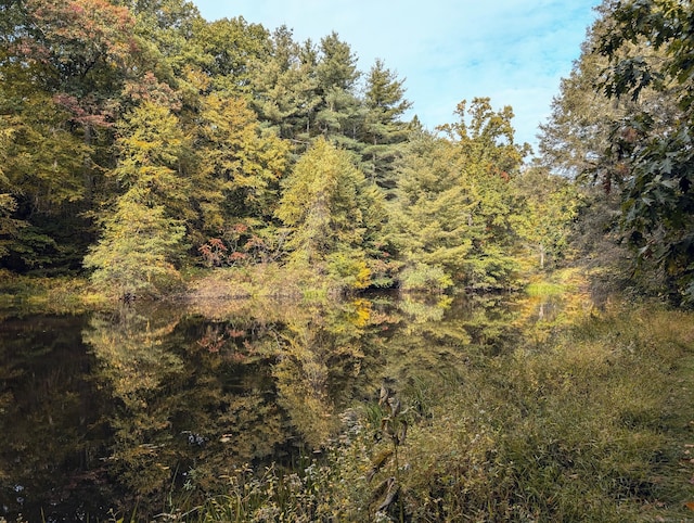 view of local wilderness