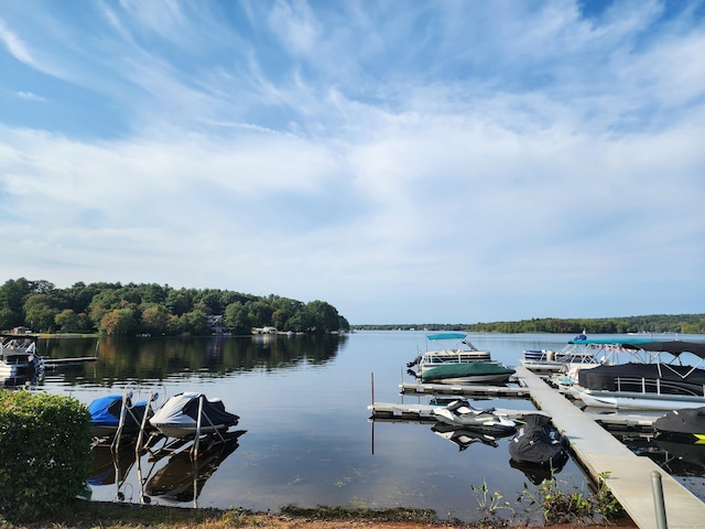 dock area with a water view
