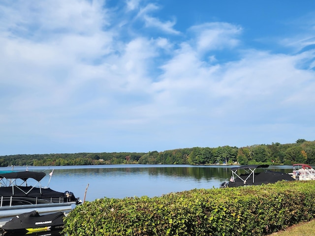 view of water feature featuring a forest view and a dock