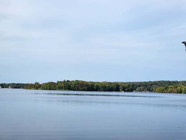 view of water feature