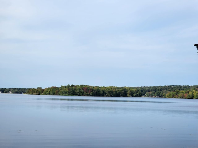 water view with a forest view