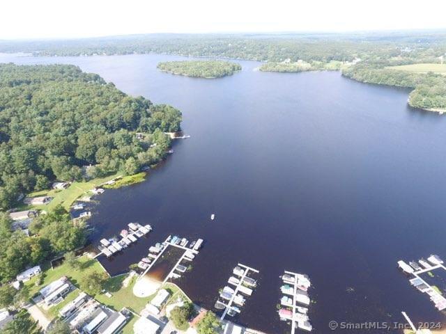 drone / aerial view featuring a forest view and a water view