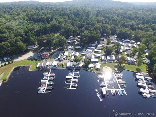 drone / aerial view with a water view and a wooded view
