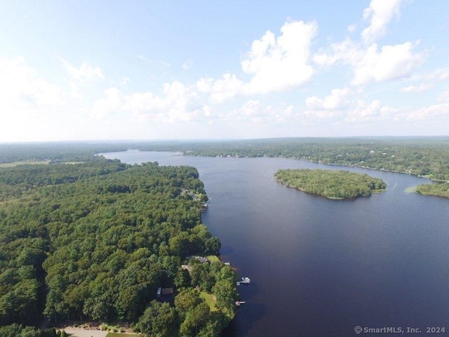 bird's eye view with a wooded view and a water view