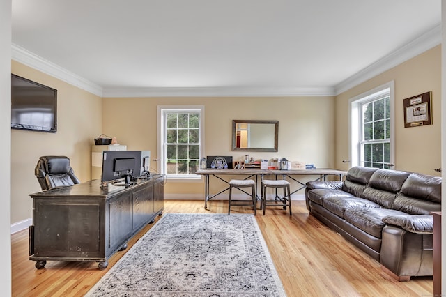 office with crown molding, plenty of natural light, and light wood-type flooring