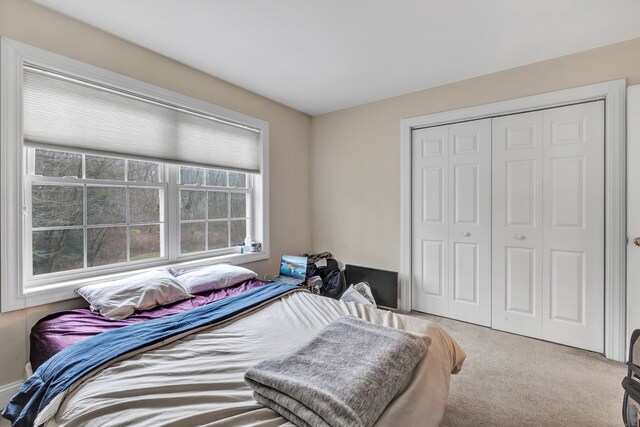 carpeted bedroom with a closet