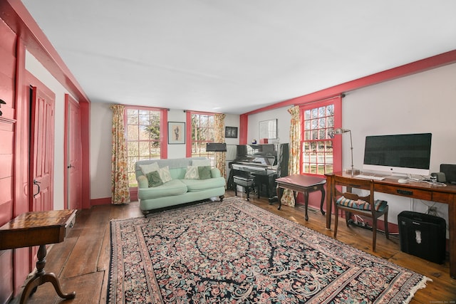 living room featuring hardwood / wood-style floors