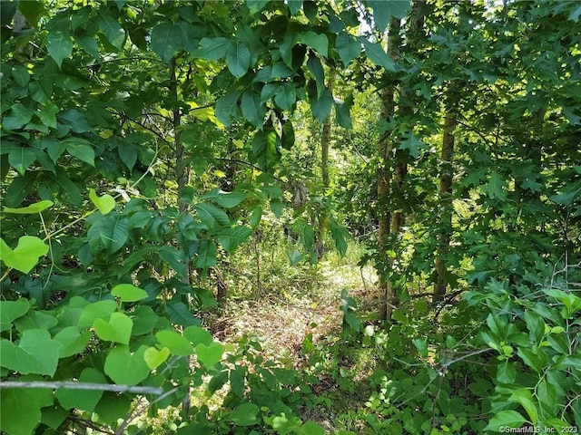 9 Kennedy Dr, Putnam, CT 06260 - photo 7