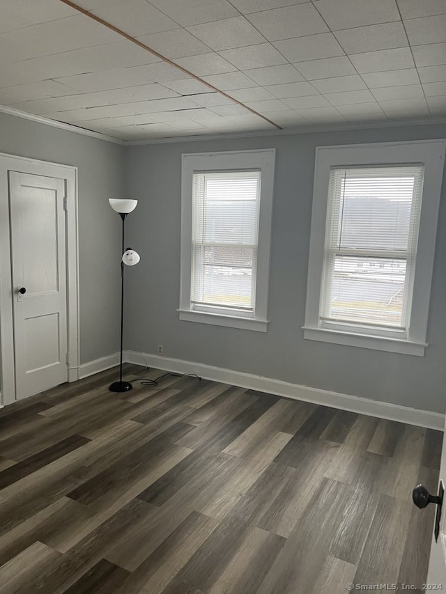 spare room featuring a healthy amount of sunlight, ornamental molding, and dark hardwood / wood-style floors