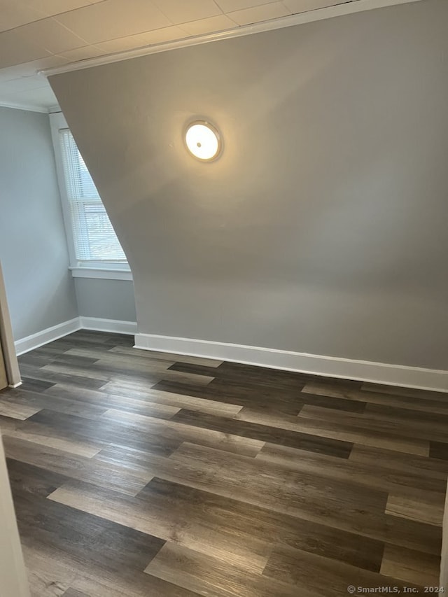 additional living space featuring dark hardwood / wood-style floors