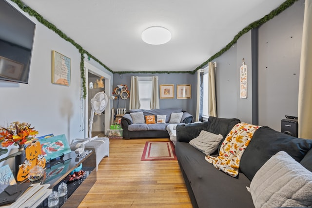 living room featuring light hardwood / wood-style floors