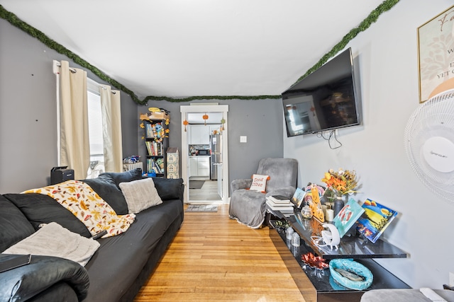 living room featuring light hardwood / wood-style flooring