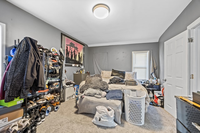 bedroom featuring carpet floors