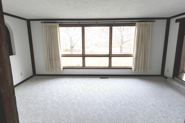 spare room featuring carpet and a textured ceiling