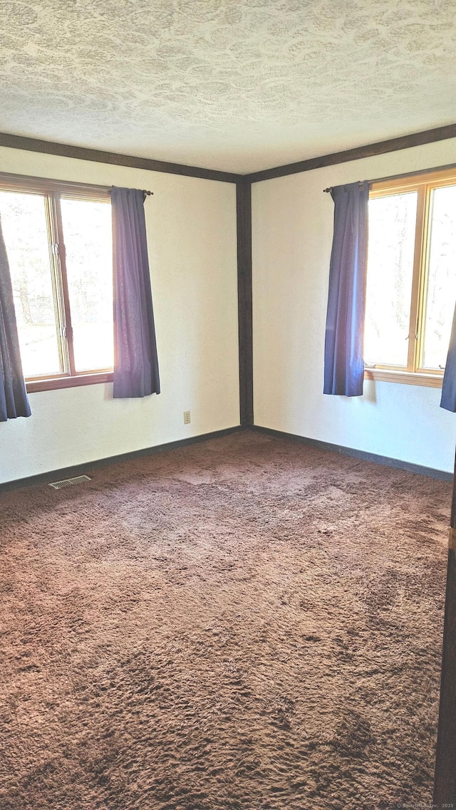 spare room with carpet flooring and a textured ceiling