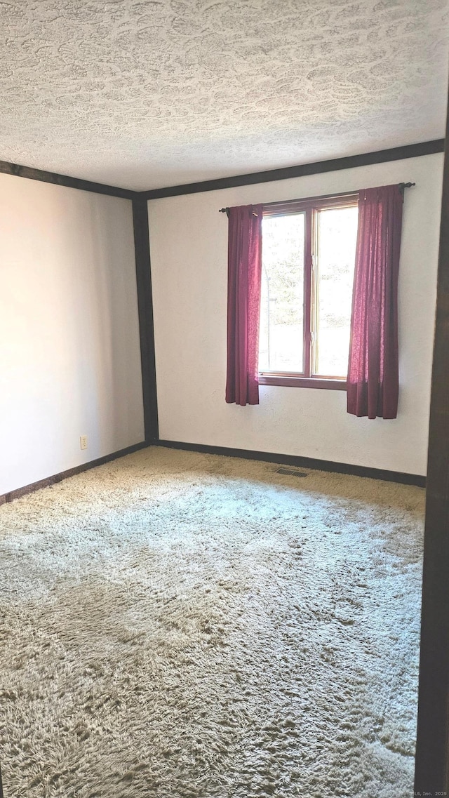 empty room featuring carpet flooring and a textured ceiling