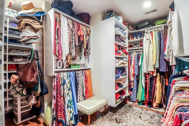 view of spacious closet