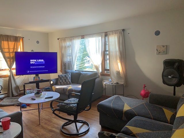 living room featuring hardwood / wood-style flooring