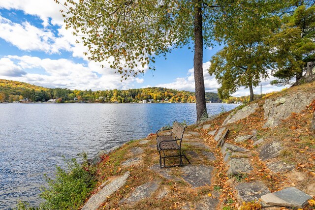 538 Wheelers Pt, Winchester, CT 06098 - water view