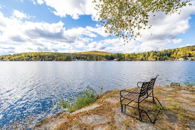 538 Wheelers Pt, Winchester, CT 06098 - water view with a forest