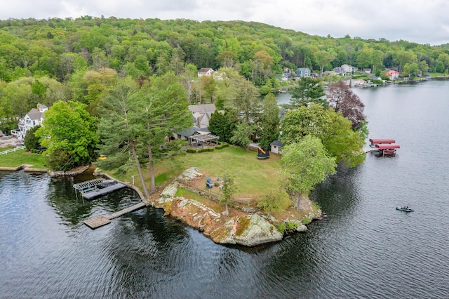538 Wheelers Pt, Winchester, CT 06098 - aerial view of a heavily wooded area and a large body of water