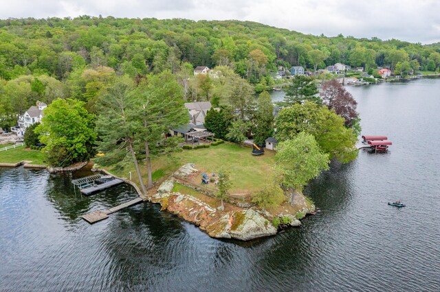 538 Wheelers Pt, Winchester, CT 06098 - aerial view of a heavily wooded area and a large body of water