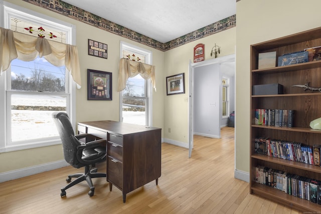 office area with a wealth of natural light and light hardwood / wood-style flooring