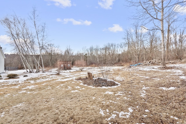 view of yard covered in snow