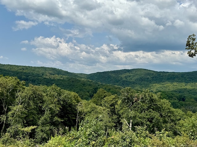 73 Upper Kent Hollow Rd, Kent, CT 06757 - photo 5