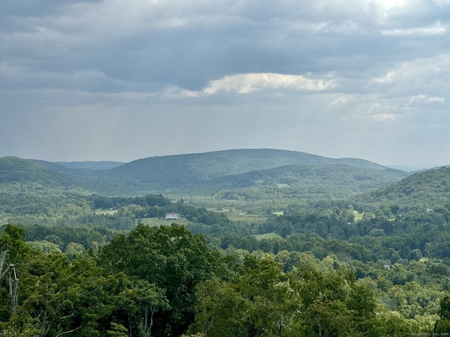 73 Upper Kent Hollow Rd, Kent, CT 06757 - photo 6