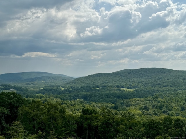 73 Upper Kent Hollow Rd, Kent, CT 06757 - photo 7