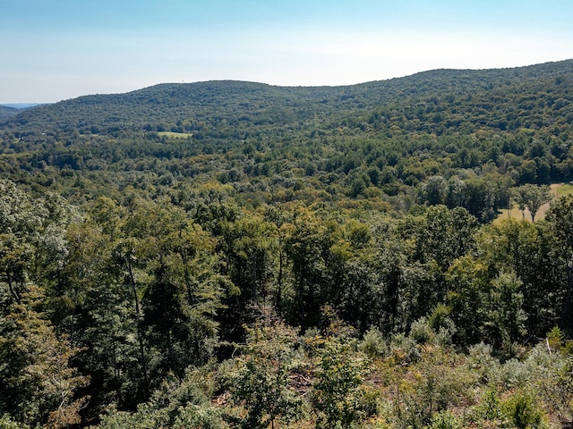 73 Upper Kent Hollow Rd, Kent, CT 06757 - photo 8