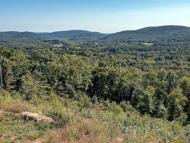73 Upper Kent Hollow Rd, Kent, CT 06757 - photo 9