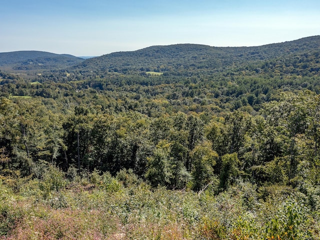 73 Upper Kent Hollow Rd, Kent, CT 06757 - photo 10