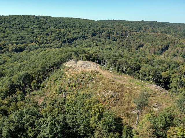 73 Upper Kent Hollow Rd, Kent, CT 06757 - photo 11