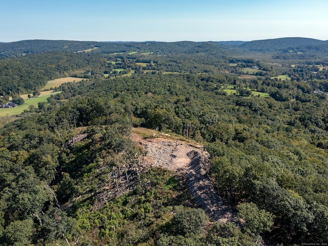 73 Upper Kent Hollow Rd, Kent, CT 06757 - photo 12