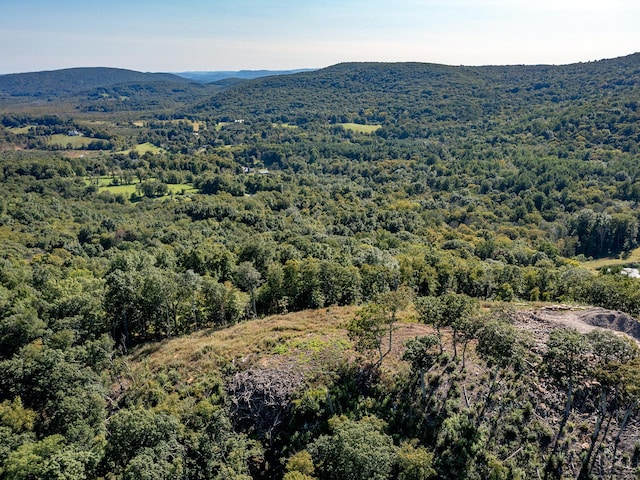 73 Upper Kent Hollow Rd, Kent, CT 06757 - photo 13