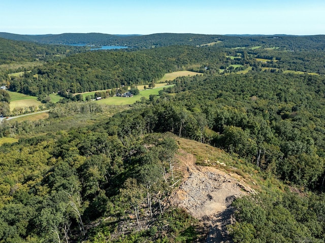 73 Upper Kent Hollow Rd, Kent, CT 06757 - photo 14