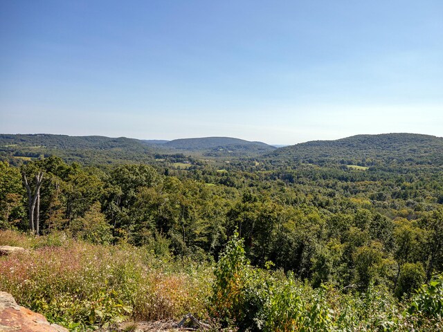 73 Upper Kent Hollow Rd, Kent, CT 06757 - photo 15
