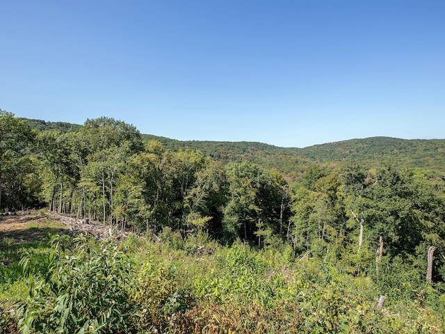 73 Upper Kent Hollow Rd, Kent, CT 06757 - photo 16