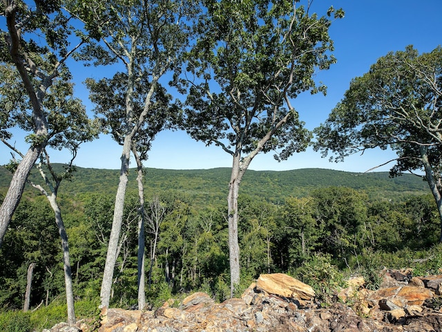 73 Upper Kent Hollow Rd, Kent, CT 06757 - photo 17