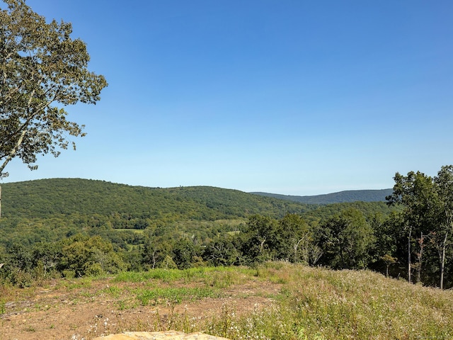 73 Upper Kent Hollow Rd, Kent, CT 06757 - photo 19