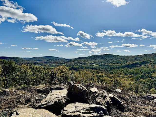 73 Upper Kent Hollow Rd, Kent, CT 06757 - photo 23